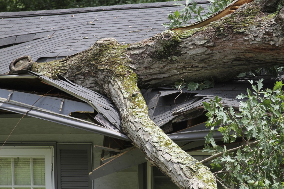 PPC Storm Damage - Broadco Property Restoration - roof_storm_damage_repair_tree_119163569
