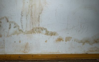 Image Of A Wall And Baseboard In SE Michigan Home That Has Discoloration From Water Damage.