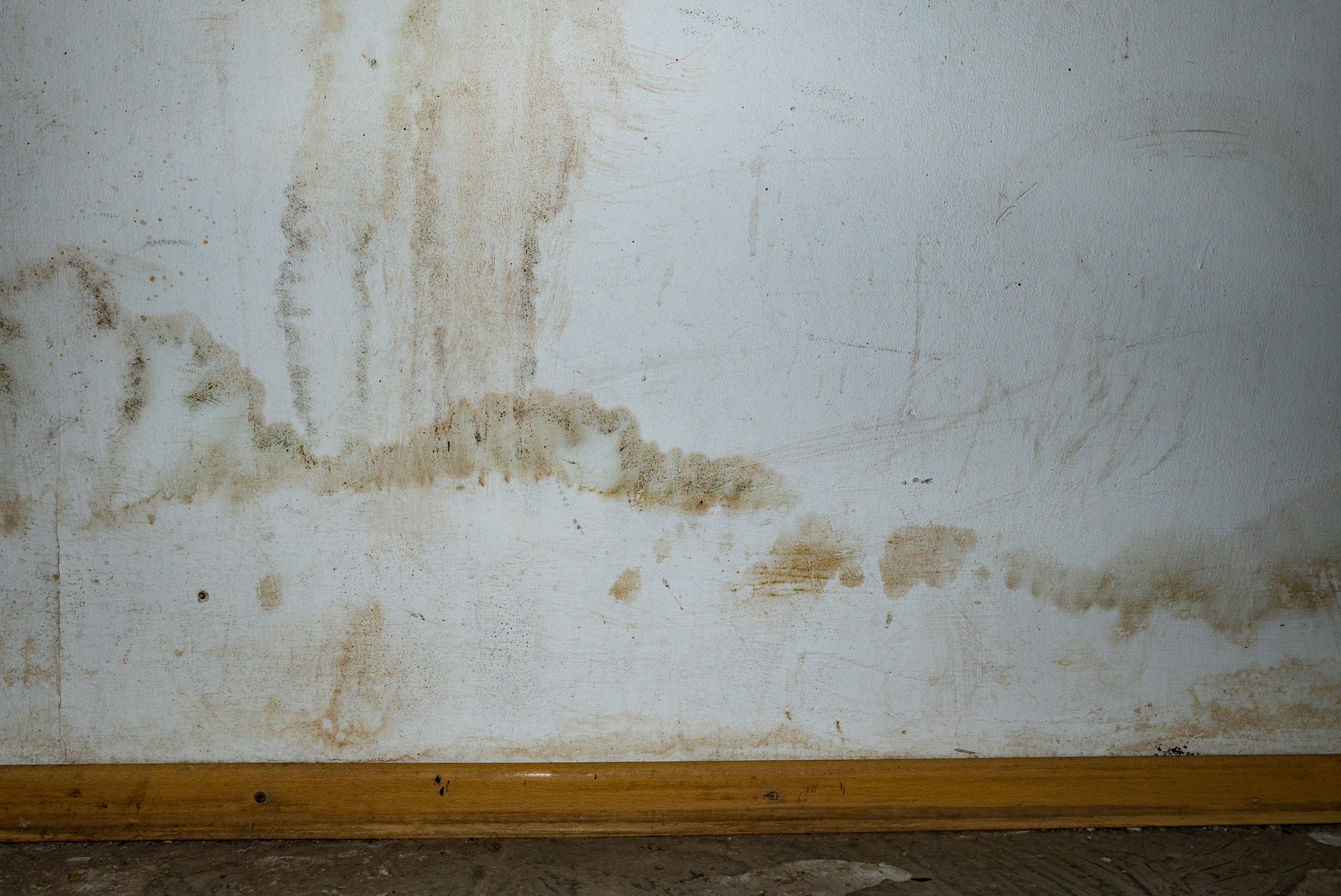 Image of a wall and baseboard in SE Michigan home that has discoloration from water damage.
