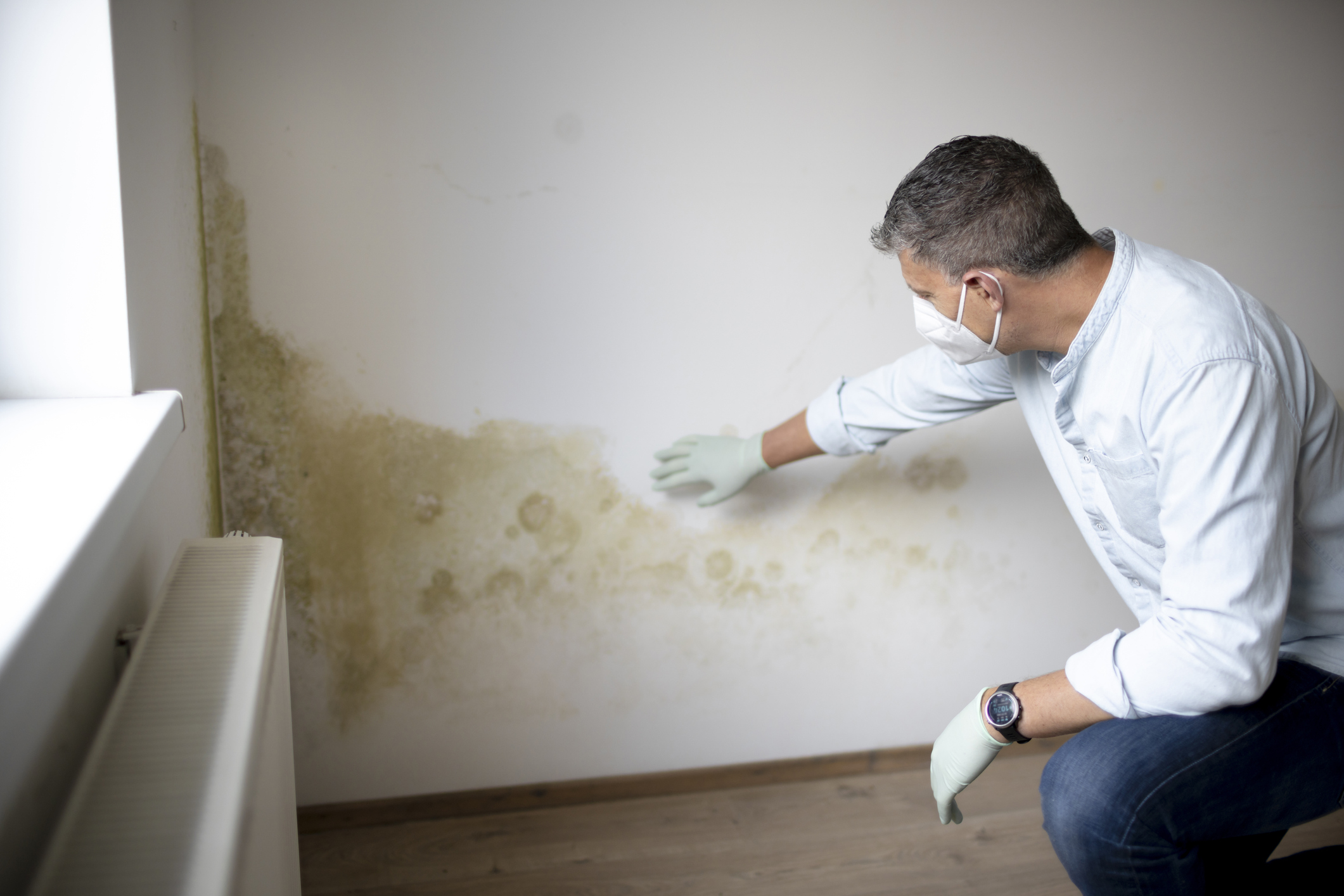 A mold remediation specialist checks out visible mold along a home's wall.