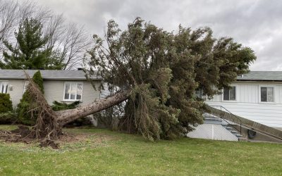 Storm damage of a tree that fell on a house in Southeast Michigan after heavy rain and wind